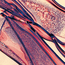 Saajtak - Para los creadores [Vinilo]