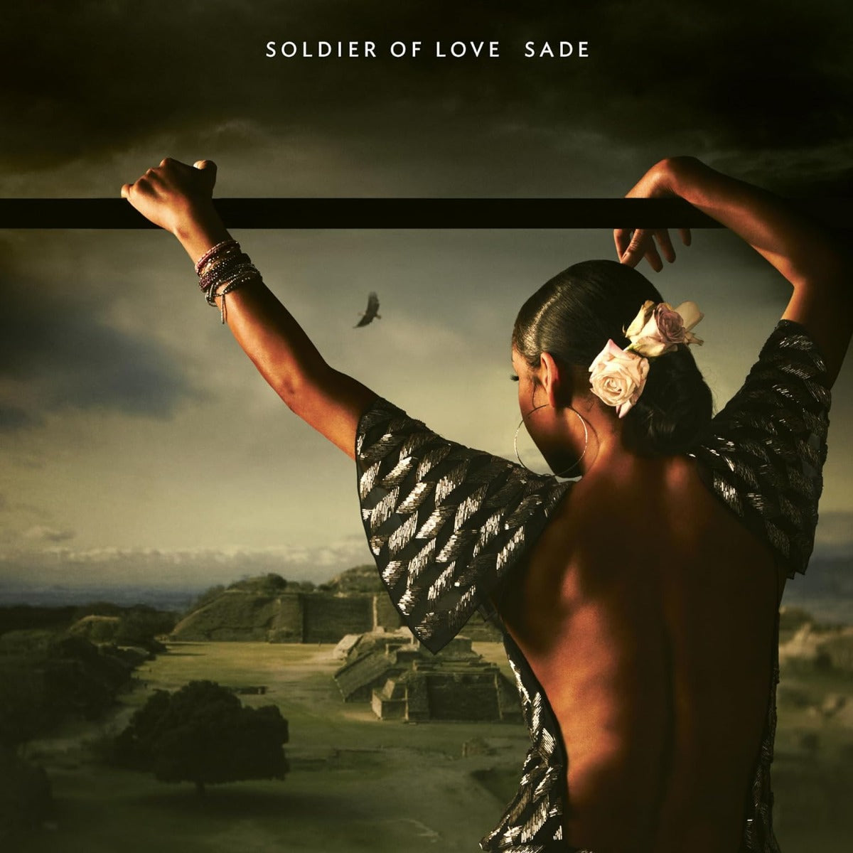 Sade - Soldier Of Love [Vinyl]