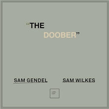 Sam Gendel/Sam Wilkes - The Doober [LP] [Vinilo]
