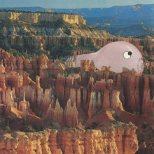 SANA SHENAI - Warm Former [Vinyl]