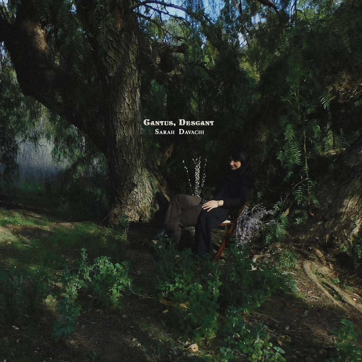 Sarah Davachi - Cantus, Descant [Vinyl]