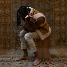 Sorry I'M Late, I Didn'T Want To Be Here [Vinyl]