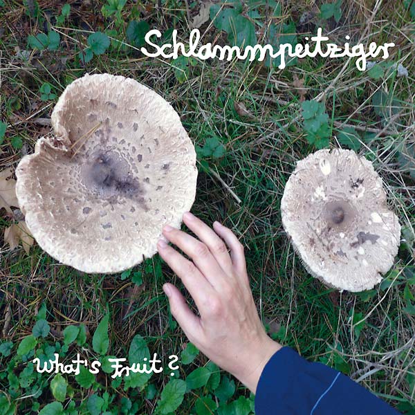 SCHLAMMPEITZIGER - What's Fruit? [Vinyl]