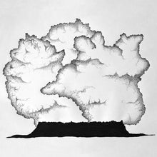 School Of Language - Sea From Shore [Vinyl] - Paladin Vinyl