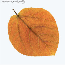 Seasons (Clear Amber) [Vinyl]