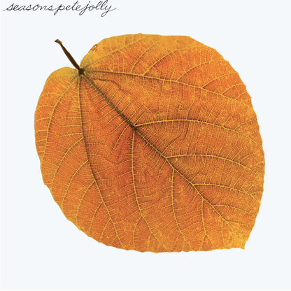 Seasons (Clear Light Green) [Vinyl] - Paladin Vinyl