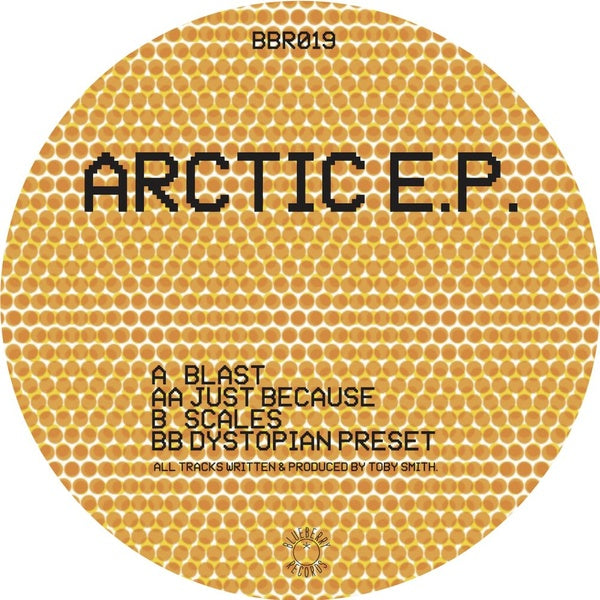 Arctic EP [Vinyl]