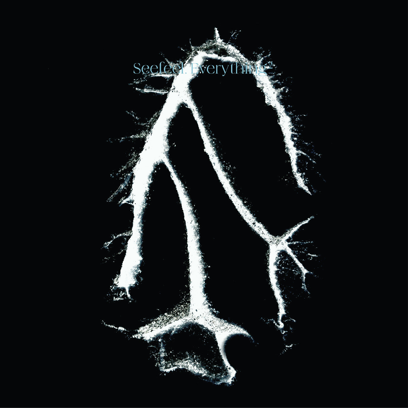 Everything Squared [CD]