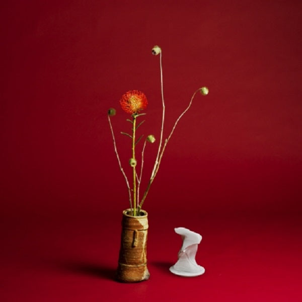 Collapse [Vinyl] - Paladin Vinyl