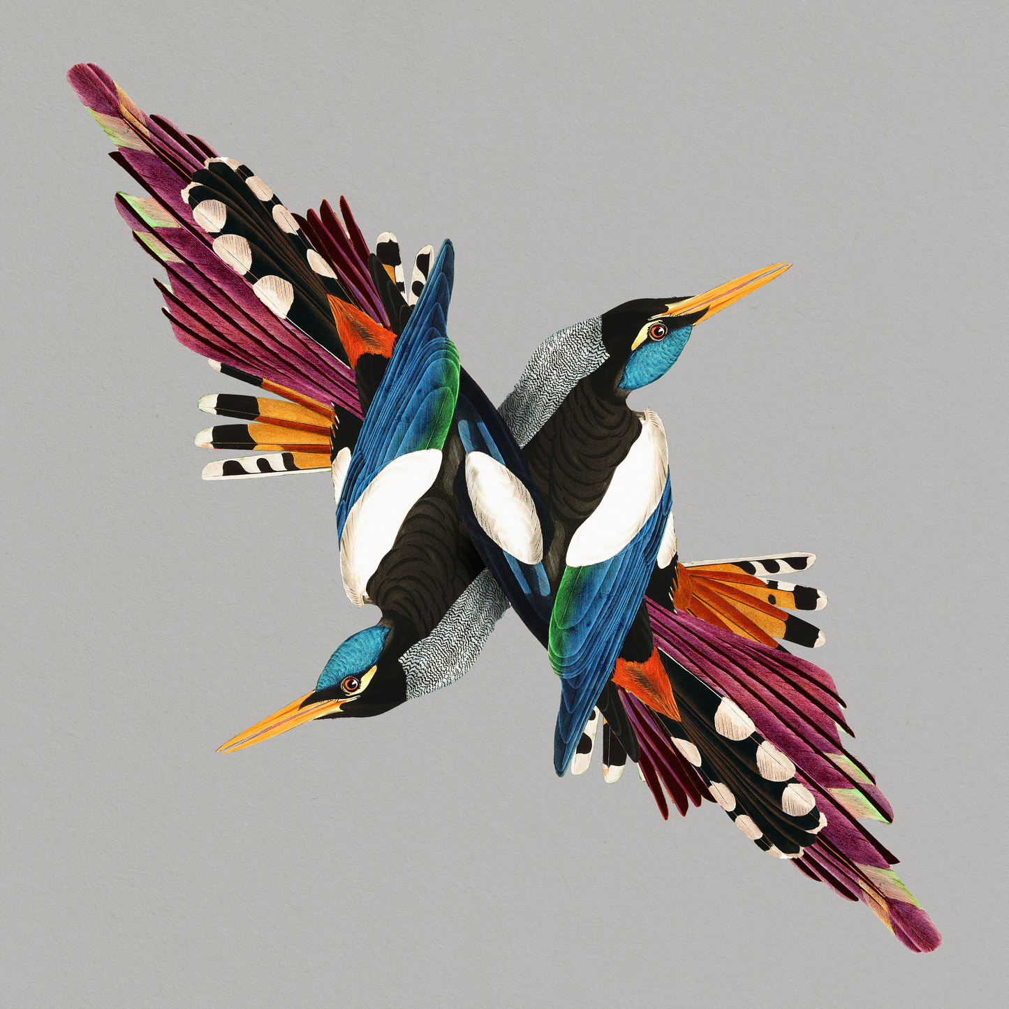 Tomorrows People [CD]