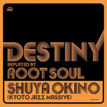 Destiny Replayed By Root Soul [Vinyl]