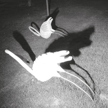 Siavash Amini - A Mimesis of Nothingness [Vinyl]