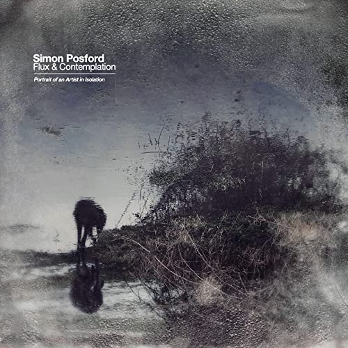 Simon Posford - Flux & Contemplation: Portrait Of An Artist In Isolation [2 LP] [Vinyl]