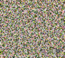 SINNER DC - MEG / CDG [CD]