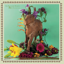 SIR RICHARD BISHOP & ED YAZIJIAN - Sir Richard Bishop & Ed Yazijian [Vinyl]