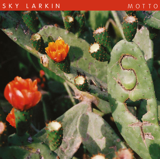 Sky Larkin - Motto [Vinilo]