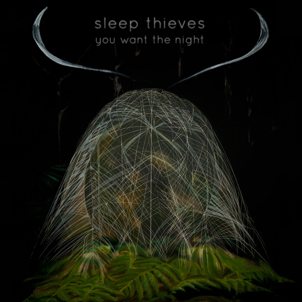 Sleep Thieves - You Want The Night [Vinyl]