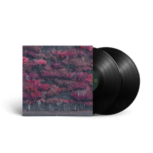 Even In Arcadia (2LP) [Vinyl]