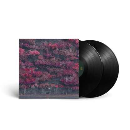 Even In Arcadia (2LP) [Vinyl]