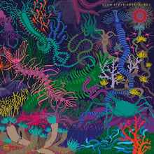 SLOW STEVE - Adventures [CD]