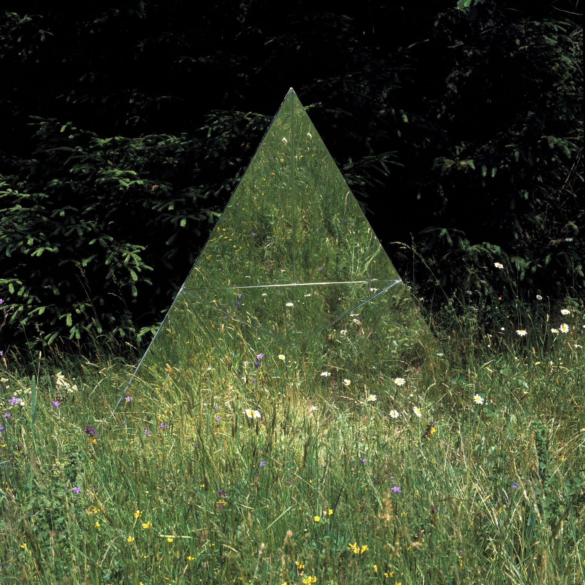 Time Team [CD]