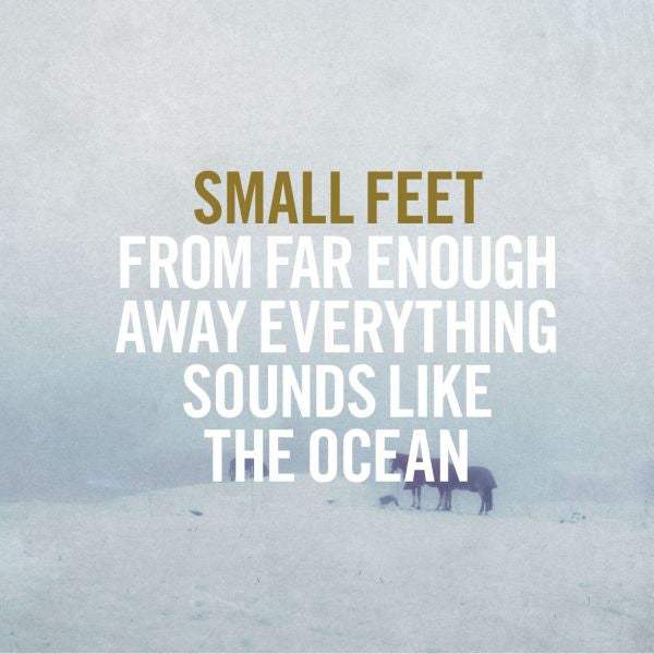 From Far Enough Away Everything Sounds Like The Ocean [Vinyl] - Paladin Vinyl
