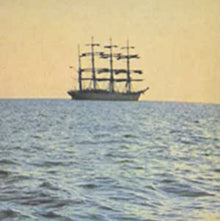 The Doctor Came at Dawn [Vinyl]