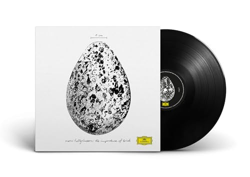 The Importance Of Birds [12" Ep] [Vinyl]