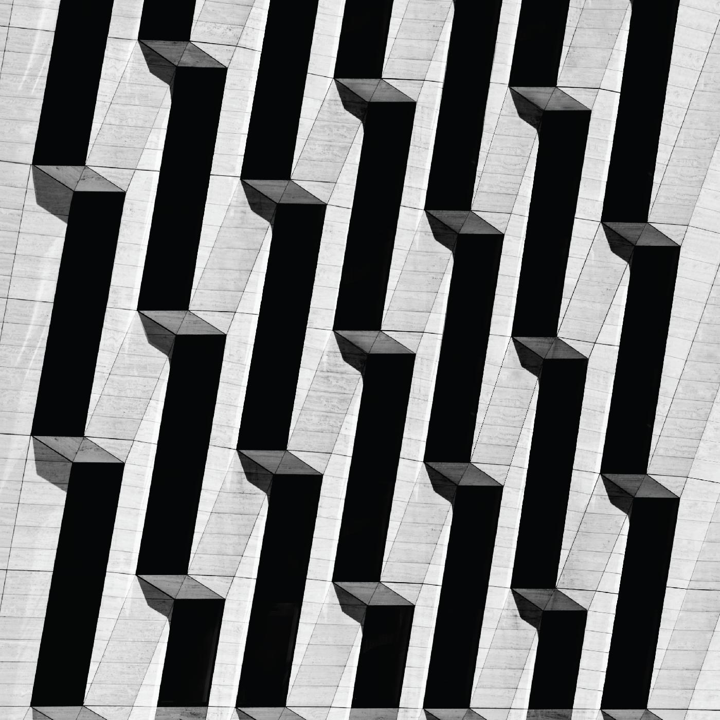 Snow Palms - Everything Ascending [Vinyl] - Paladin Vinyl