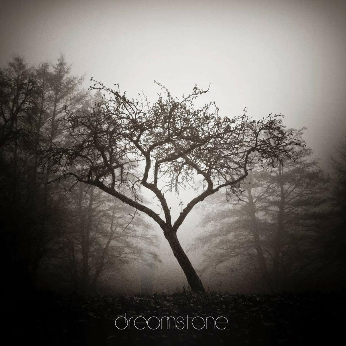 Dolor - Dreamstone [CD]