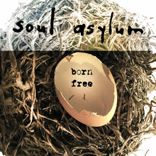Soul Asylum - Born Free (Vinilo de 10 pulgadas) [Vinilo]