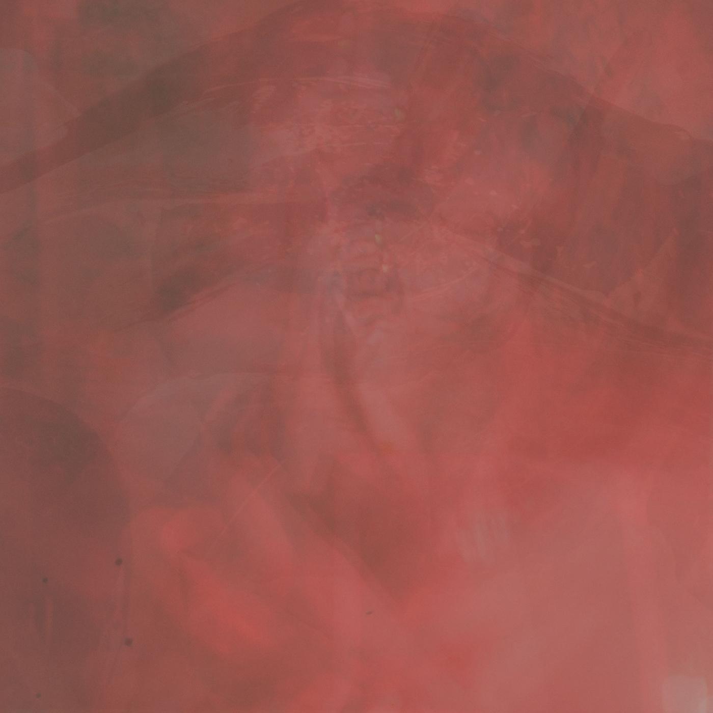 Of Desire, Longing [Vinyl] - Paladin Vinyl