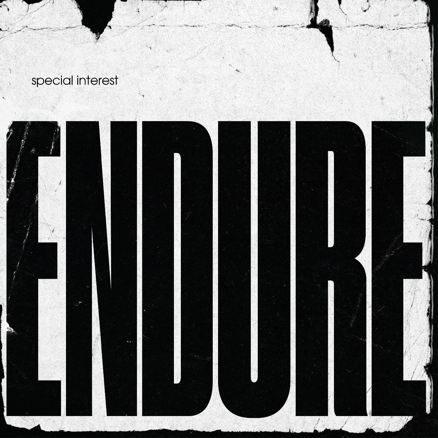 Endure [Vinyl] - Paladin Vinyl