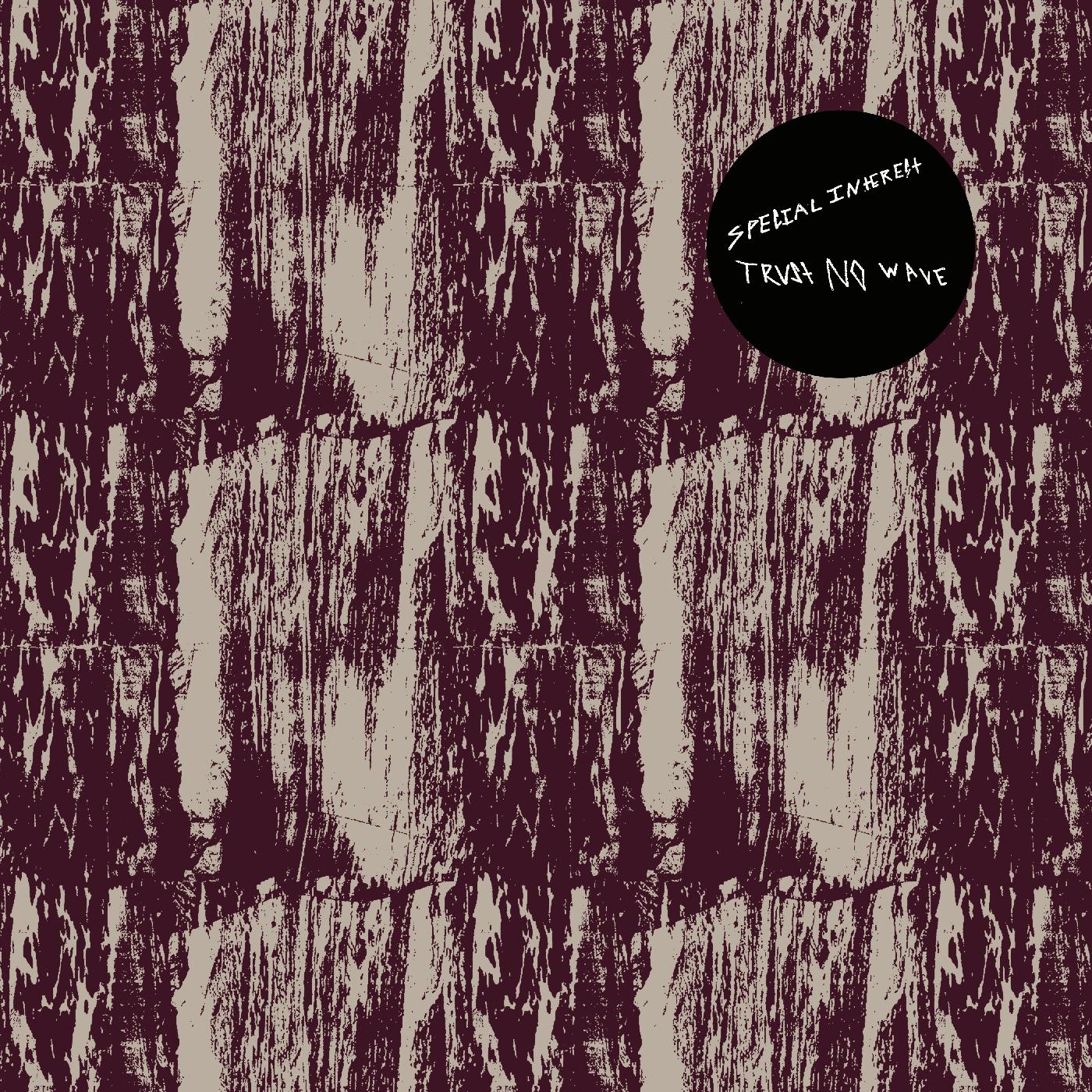 Trust No Wave [Vinyl] - Paladin Vinyl