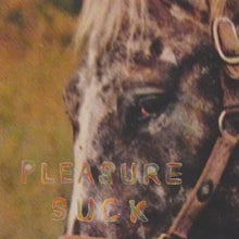 Pleasure Suck [CD]