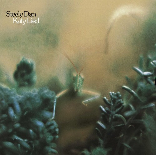 Katy Lied (180 Gram Vinyl) [Vinyl]