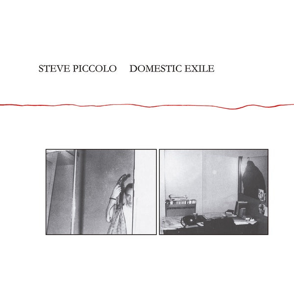 STEVE PICCOLO - Domestic Exile [CD]