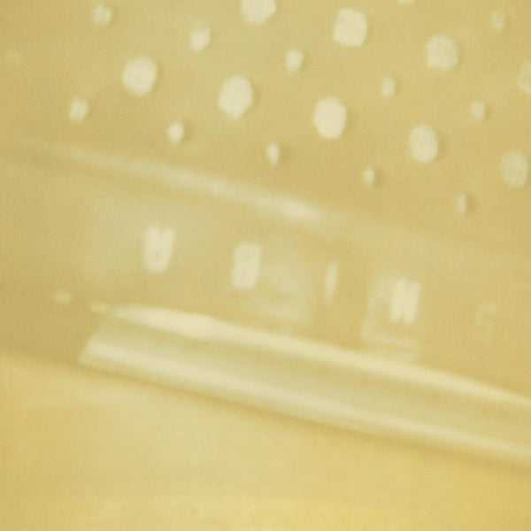 STEVE RODEN - The Radio/Airria (Hanging Garden)/Vein Stem Is Calm [CD]