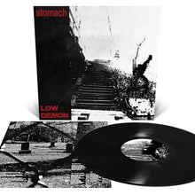 Low Demon [Vinyl]