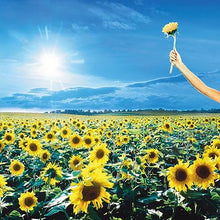 Stone Temple Pilots Thank You Vinyl - Paladin Vinyl