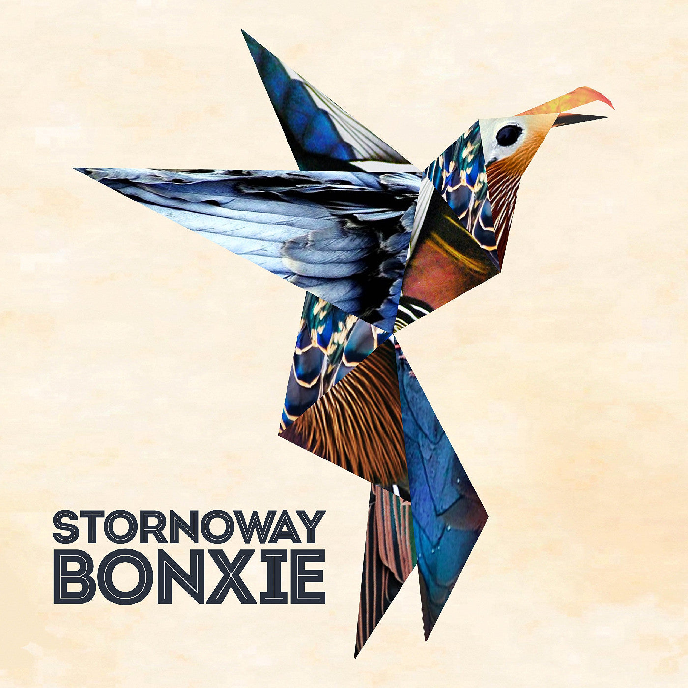Stornoway - Bonxie [CD]