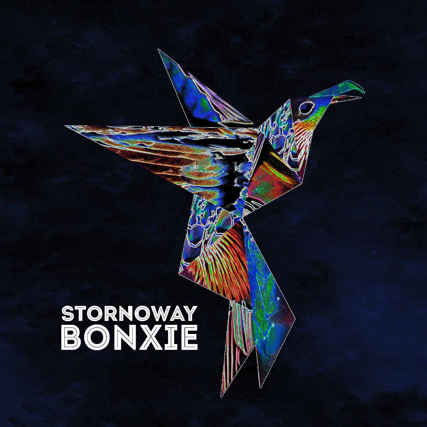 Eco Coloured Vinyl) Bonxie (10Th Anniversary Edition) (Deluxe Edition [Vinyl]