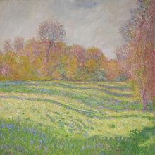 Strawberry Guy - El sol fuera de mi ventana (VINILO AZUL BEBÉ) [Vinilo]