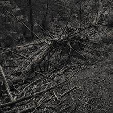 Always I Gnaw [Vinyl]