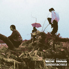 Gypsy House [Vinyl]