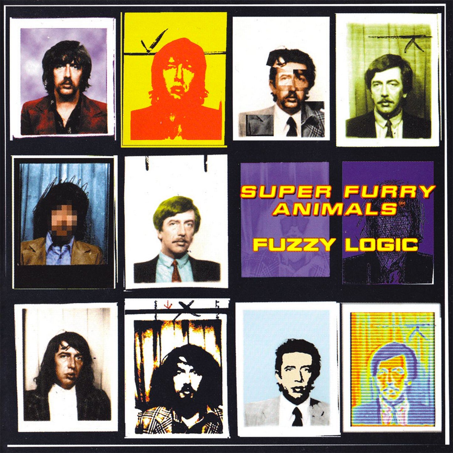 Fuzzy Logic [Vinyl]