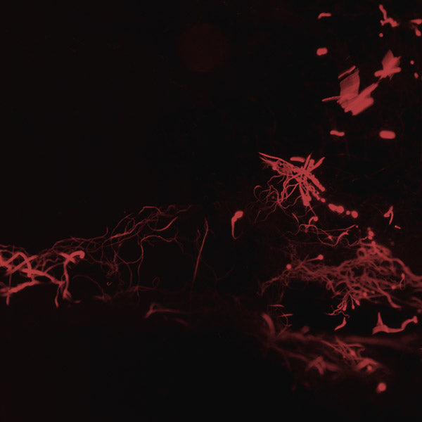 SVARTE GREINER - Moss Garden [CD]