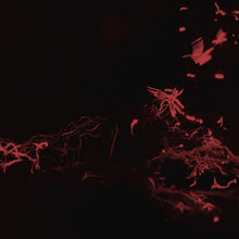 SVARTE GREINER - Moss Garden [CD]