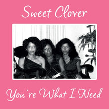 SWEET CLOVER - You're What I Need [Vinyl]
