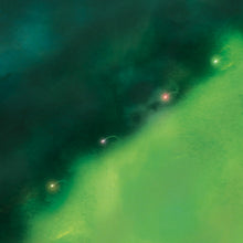 Someday We Will Foresee Obstacles [Vinyl]